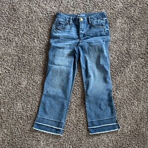 Democracy Absolution jeans cropped frayed 8